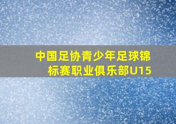 中国足协青少年足球锦标赛职业俱乐部U15