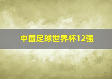 中国足球世界杯12强