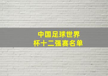 中国足球世界杯十二强赛名单