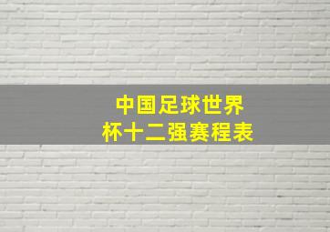 中国足球世界杯十二强赛程表