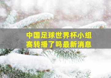 中国足球世界杯小组赛转播了吗最新消息