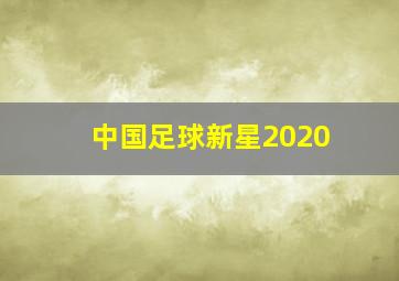 中国足球新星2020