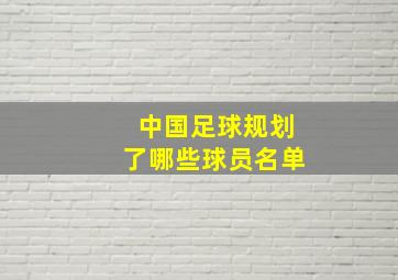 中国足球规划了哪些球员名单