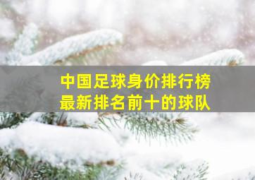 中国足球身价排行榜最新排名前十的球队