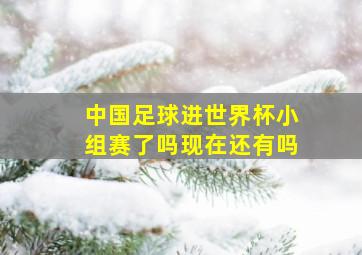 中国足球进世界杯小组赛了吗现在还有吗