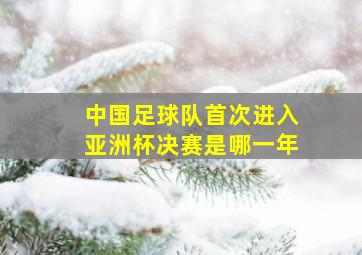 中国足球队首次进入亚洲杯决赛是哪一年