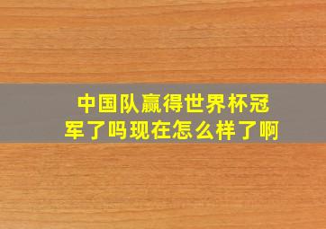 中国队赢得世界杯冠军了吗现在怎么样了啊