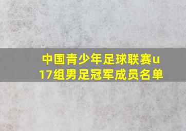 中国青少年足球联赛u17组男足冠军成员名单