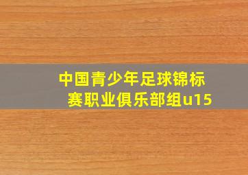 中国青少年足球锦标赛职业俱乐部组u15