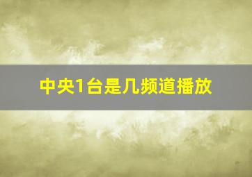 中央1台是几频道播放