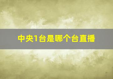 中央1台是哪个台直播