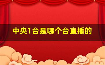 中央1台是哪个台直播的