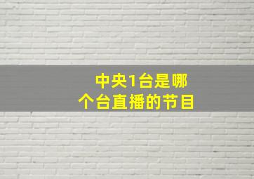 中央1台是哪个台直播的节目