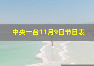 中央一台11月9日节目表