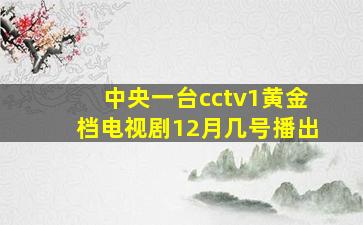 中央一台cctv1黄金档电视剧12月几号播出