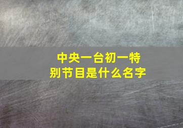 中央一台初一特别节目是什么名字