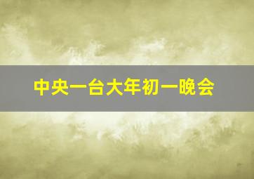 中央一台大年初一晚会