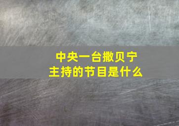 中央一台撒贝宁主持的节目是什么