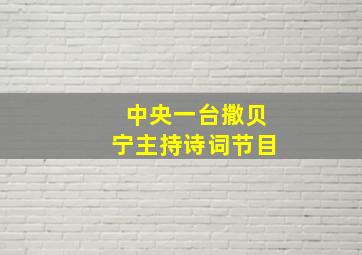 中央一台撒贝宁主持诗词节目