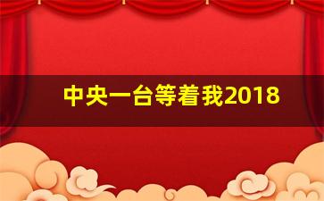 中央一台等着我2018