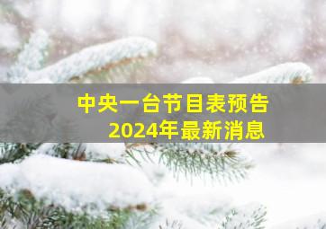 中央一台节目表预告2024年最新消息