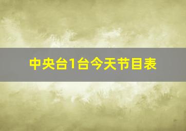 中央台1台今天节目表