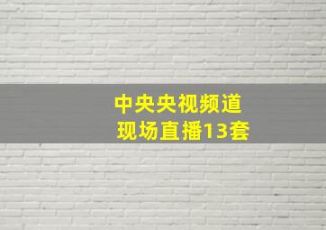 中央央视频道现场直播13套