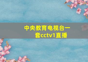 中央教育电视台一套cctv1直播