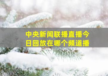 中央新闻联播直播今日回放在哪个频道播