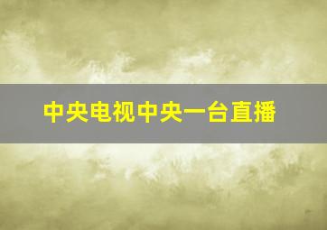 中央电视中央一台直播