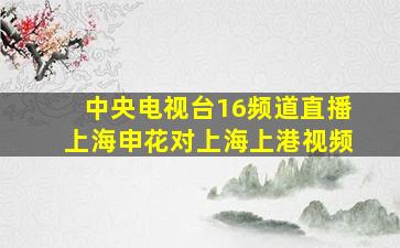 中央电视台16频道直播上海申花对上海上港视频