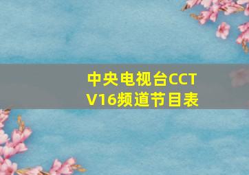 中央电视台CCTV16频道节目表