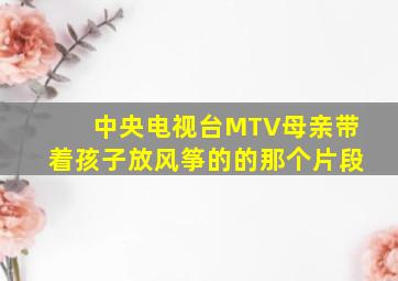 中央电视台MTV母亲带着孩子放风筝的的那个片段