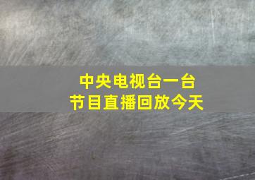 中央电视台一台节目直播回放今天