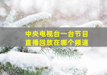 中央电视台一台节目直播回放在哪个频道