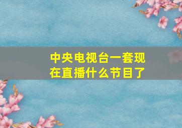 中央电视台一套现在直播什么节目了