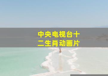 中央电视台十二生肖动画片