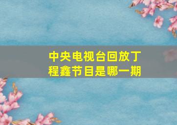 中央电视台回放丁程鑫节目是哪一期