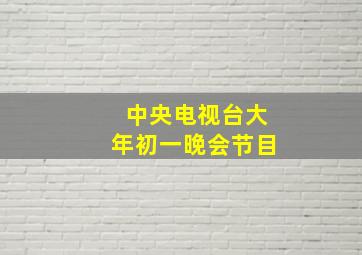 中央电视台大年初一晚会节目