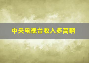 中央电视台收入多高啊