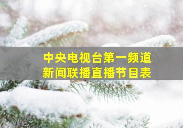 中央电视台第一频道新闻联播直播节目表