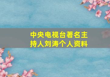 中央电视台著名主持人刘涛个人资料