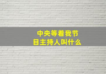 中央等着我节目主持人叫什么