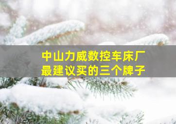 中山力威数控车床厂最建议买的三个牌子