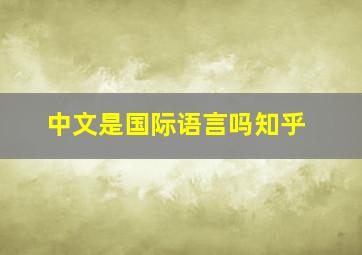 中文是国际语言吗知乎