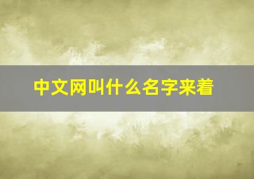 中文网叫什么名字来着