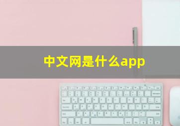 中文网是什么app