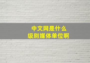 中文网是什么级别媒体单位啊