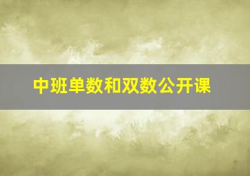 中班单数和双数公开课