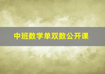 中班数学单双数公开课